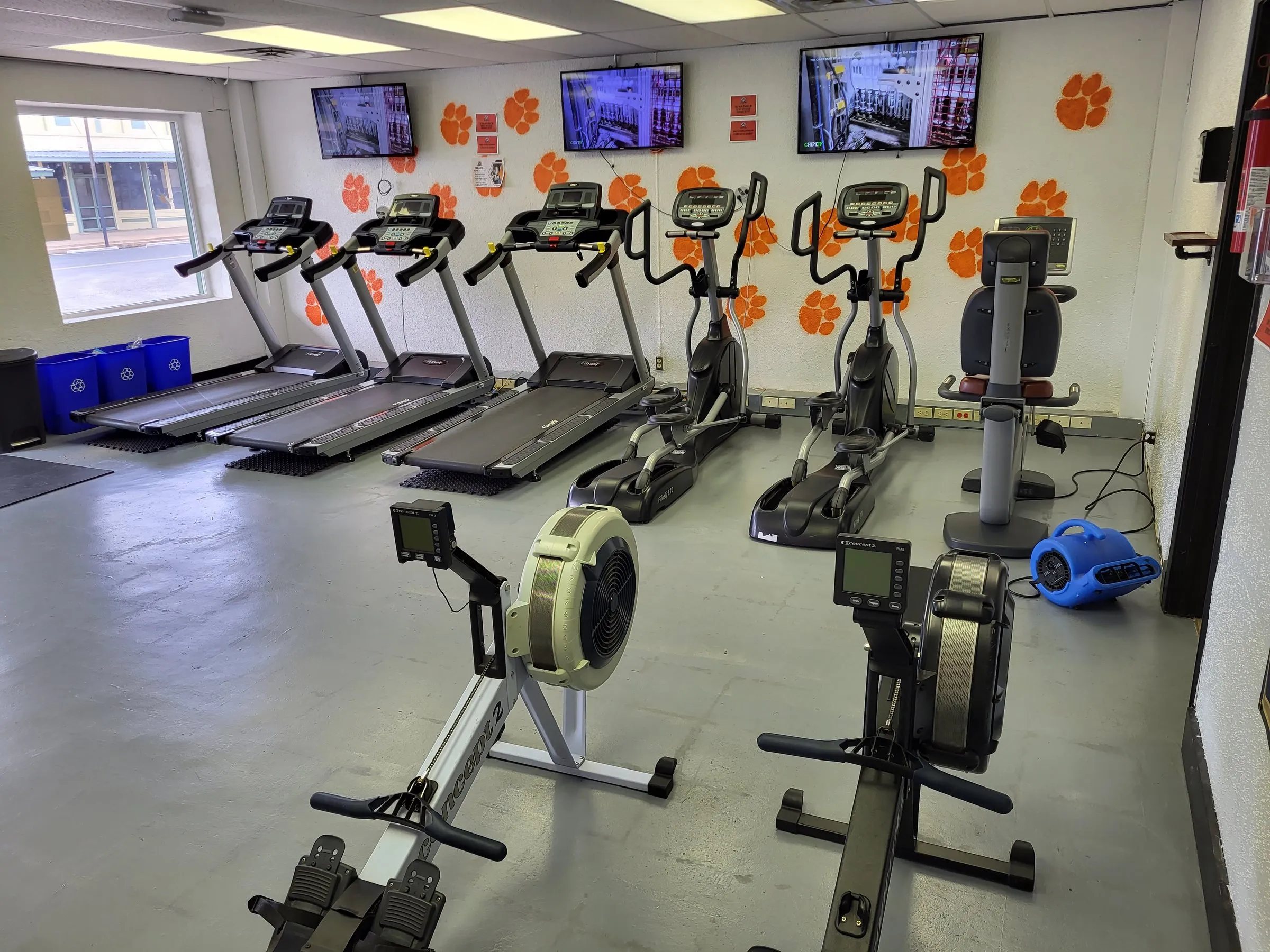 Treadmills, ellipticals and rowers under wall-mounted TVs, with orange tiger paw prints on the wall