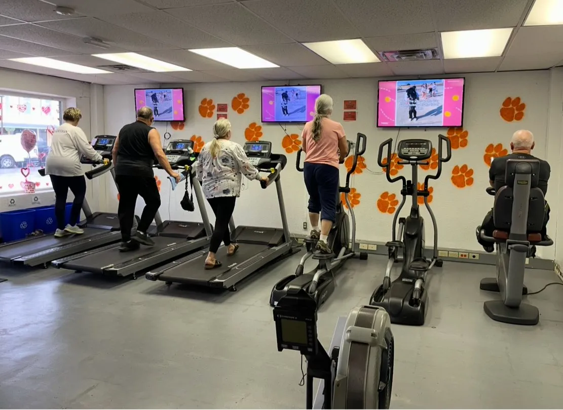 Members walking on treadmills and ellipticals in the cardio room