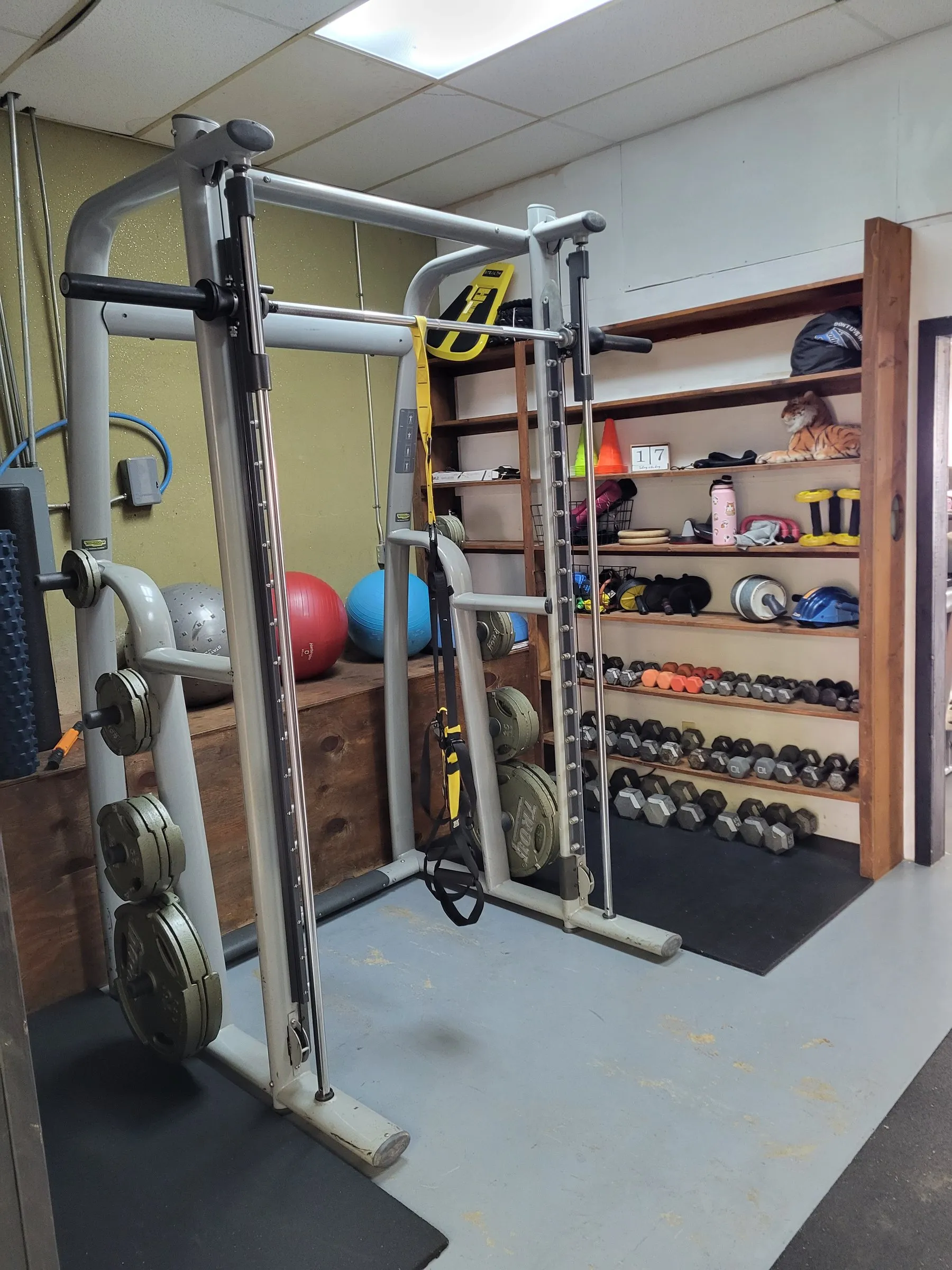 Smith machine with plate storage next to shelves of dumbbells and stability balls